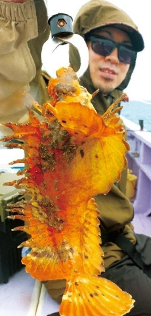 釣行の写真