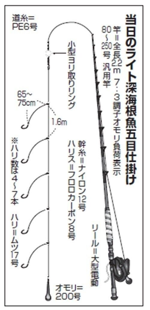 仕掛けの図