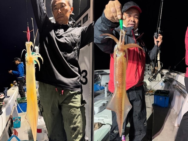 【釣果速報】福岡県福寿丸-宗像大島-でヤリイカ釣行が好調！竿頭は130匹ゲット！絶品ヤリイカを自分の手で釣り上げてみませんか？