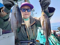 【釣果速報】千葉県利永丸でイサキが絶好調！35cmのジャンボサイズも上がってます！釣果にこだわる人は乗船一択！