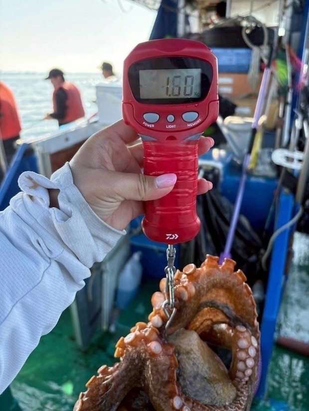 釣果