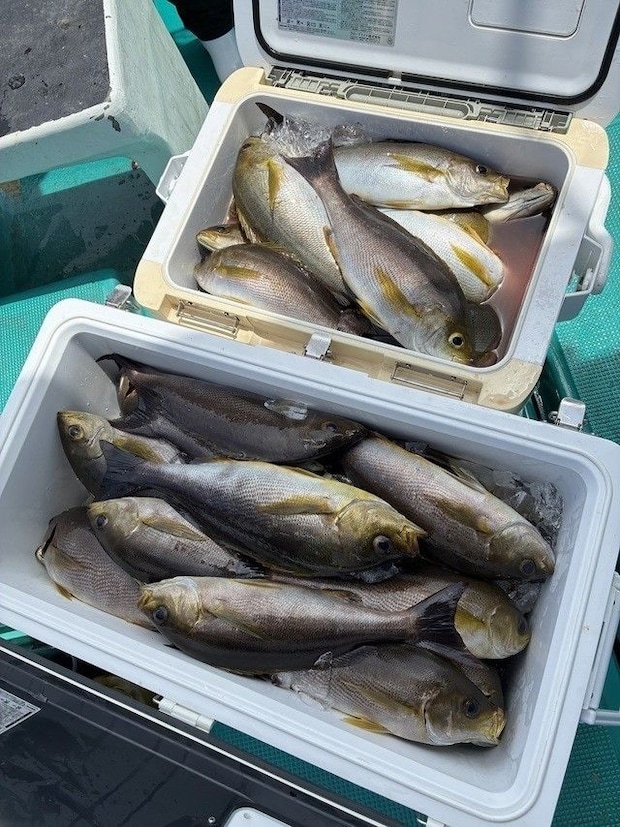 釣果