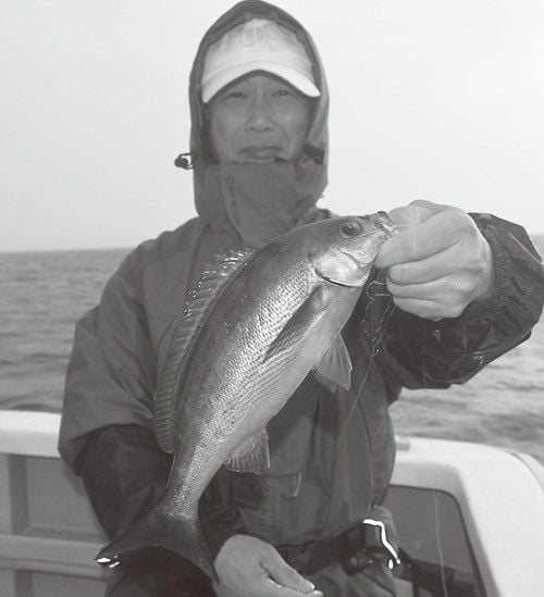釣行の写真