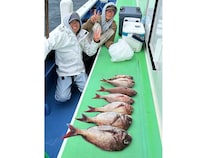 【釣果速報】神奈川県大松丸でマダイ絶好調！トップは2.50kg！今後はますます大鯛の数釣りが楽しめるそうですよ！