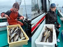 【釣果速報】和歌山県良栄丸でイサギがバズる！トップは47匹！サイズも最大37cmと大型多数！数もサイズも記録更新したいなら今スグの乗船がおすすめ！