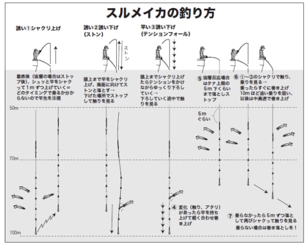 スルメイカの釣り方