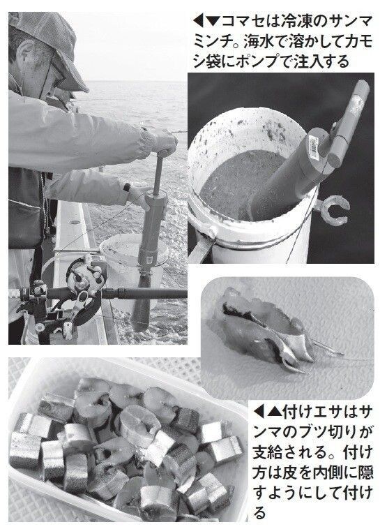 エサの写真