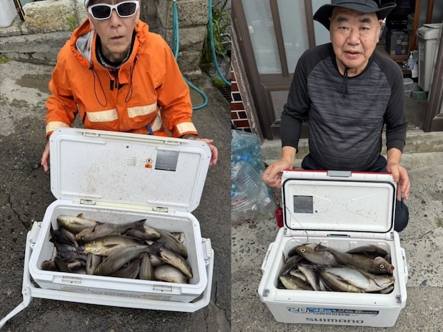 【釣果速報】イサキでクーラーボックスがパンパン！絶好調の千葉県長福丸は今後の釣行も期待大！