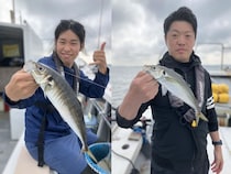 【釣果速報】神奈川県椿丸のアジ五目船好調！ゲストも多種多様！充実の釣行をお約束します！
