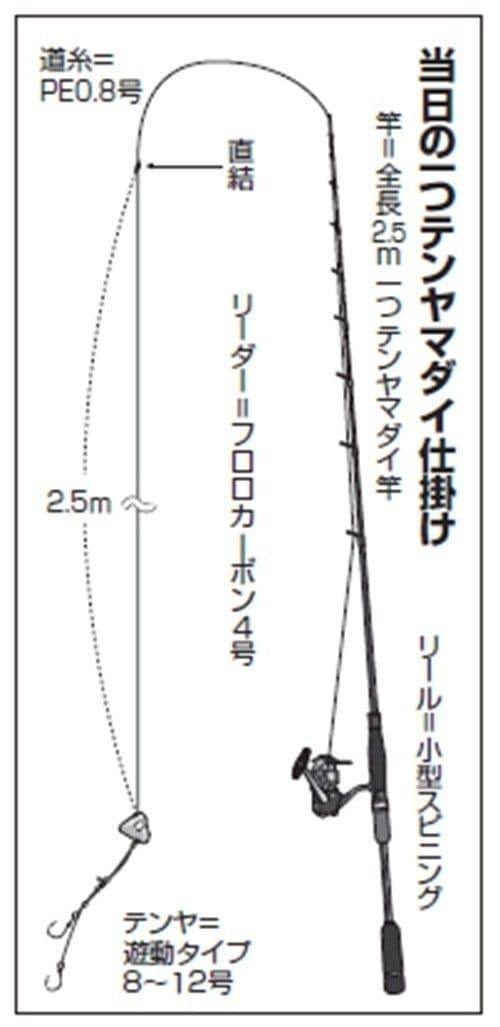 仕掛けの図