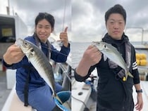 【釣果速報】神奈川県椿丸のアジ五目船好調！ゲストも多種多様！充実の釣行をお約束します！