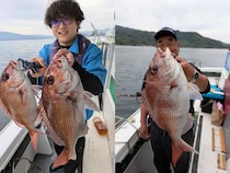 【釣果速報】1.80kgの良型マダイをゲット！静岡県魚磯丸であなたも良型をゲットしよう！