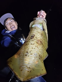 エギング大好きヤマシタスタッフ釣行記！！春エギングIN福岡宗像エリア