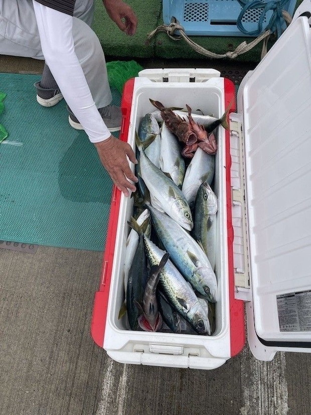 釣果