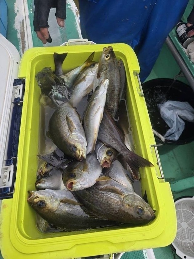 釣果