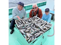 【釣果速報】神奈川県瀬戸丸でイサキ一日好調！50匹前後の好釣果を出す釣り客多数！あなたも記録更新を狙ってみませんか？