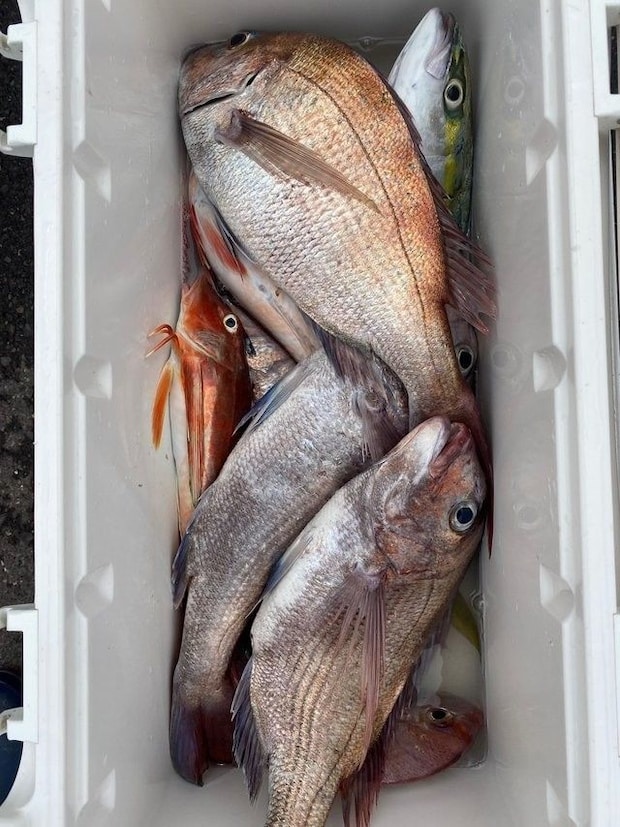 釣果