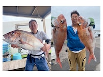 【釣果速報】茨城県大春丸で驚異の7.58kgマダイゲット！活性上々で豪華なゲストが釣れる最高のシーズンに突入！