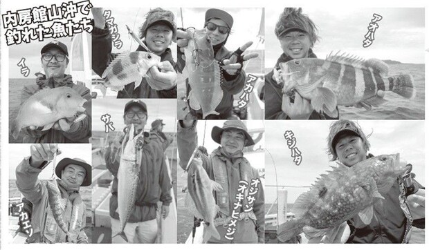 魚の写真