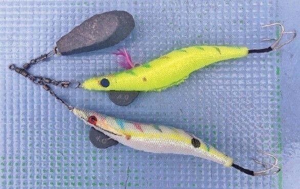 餌木の写真