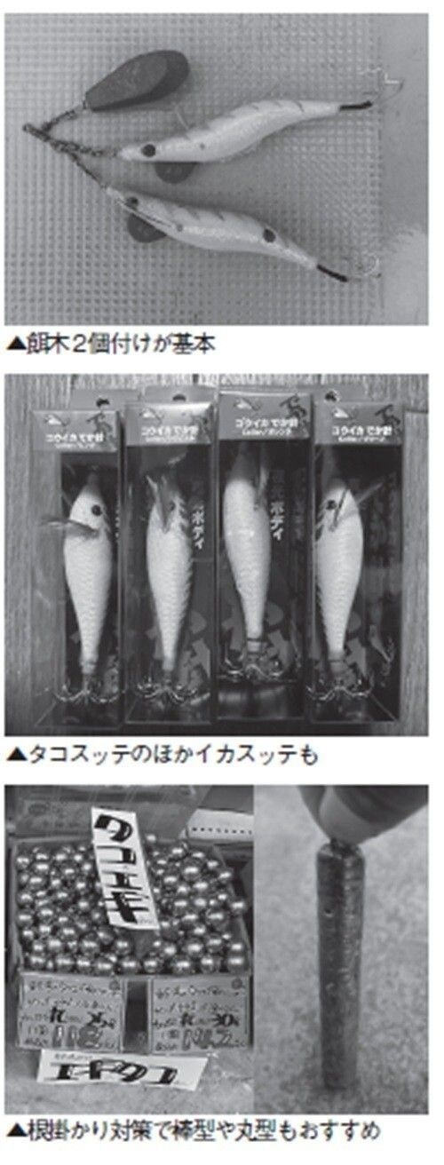 餌木の写真