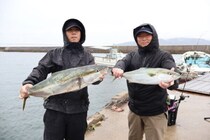 【釣果速報】兵庫県魚英でメジロ・ハマチ・サバゲット！青物との勝負を心ゆくまで楽しみませんか？