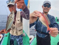 【釣果速報】神奈川県かりゆし丸でマダイ・サバ・ソコイトヨリ他と人気魚種続々ゲット！いろいろな魚との出会いを楽しみたい人は即予約を！