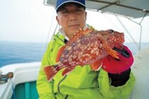 五目達成は当たり前！根魚ワンダーランド　日立沖のカサゴ船