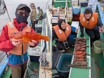 【釣果速報】アカハタ・カサゴ・キジハタなど多彩な魚種で船内がカラフルに！あなたも神奈川県ゆうせい丸で大興奮の釣行を味わおう！
