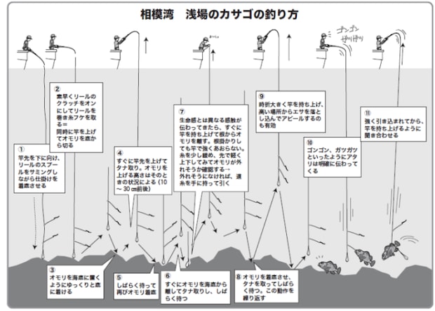相模湾　浅場のカサゴの釣り方