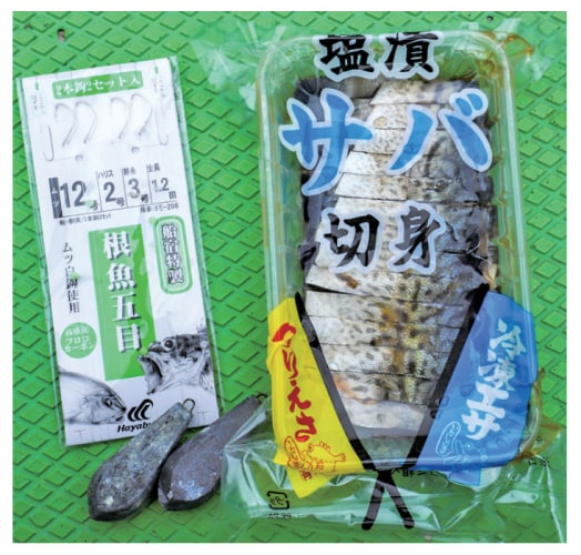 釣行の写真