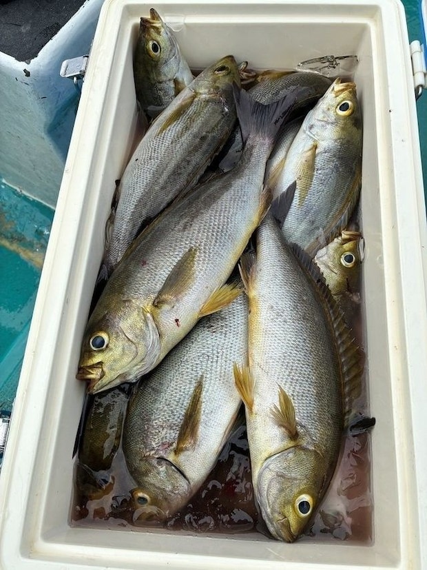 釣果