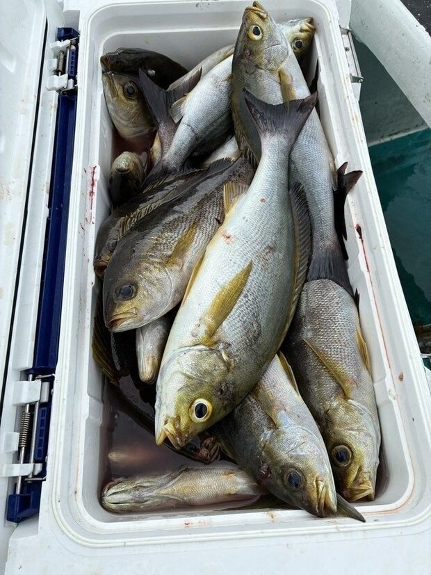 釣果