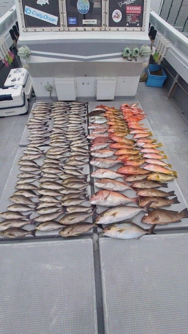 釣果