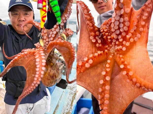 【釣果速報】兵庫県こうじん丸で2.30kgの巨大マダコ釣れる!順調にサイズアップしているマダコをキャッチしに行こう!