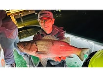 【釣果速報】千葉県TARGETで良型シーバスが釣れ続く！不意の大物に39cmのキジハタが登場！？今後の釣行にも期待大！