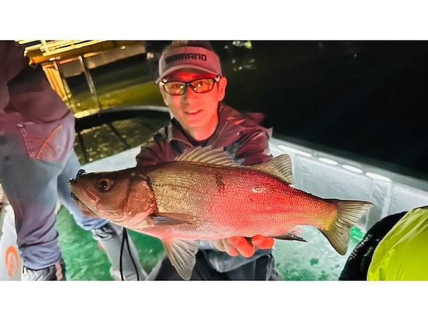 【釣果速報】千葉県TARGETで良型シーバスが釣れ続く！不意の大物に39cmのキジハタが登場！？今後の釣行にも期待大！