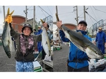 【釣果速報】神奈川県愛正丸で強烈な引きが楽しめる6kg台のワラサが好調！大物を仕留めるためのアドバイスを船長からもらいました！