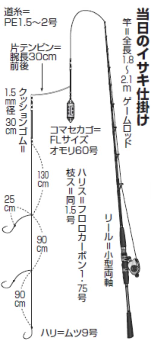 当日のイサキ仕掛け