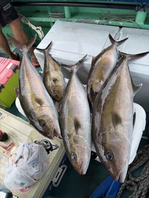 釣果