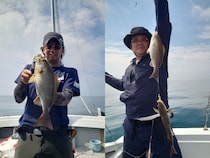 【釣果速報】長崎県大吉丸でイサキ・マダイ・オオモンハタ・アオナなど海の人気者を次々GET！多種多様な魚と出会いたいなら今すぐ乗船を！