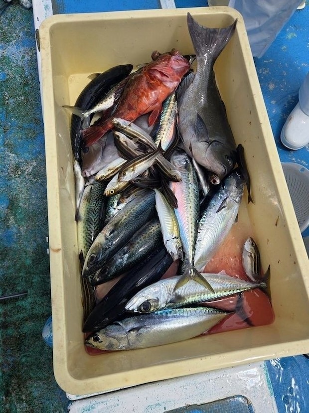 釣果