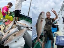 【釣果速報】静岡県南伊豆忠兵衛丸でカンパチをキャッチ！最大15.34kg！旬のシーズンを絶対に逃すな！