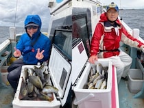 【釣果速報】神奈川県正海丸でイサキ&アジ好調！クーラーにぎっしり！今すぐ乗船してこの波に乗ろう！