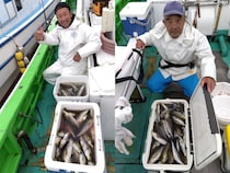 【釣果速報】神奈川県せどおと丸でイサキ好調！TOP110匹！質も量も大満足の釣行を楽しもう！