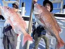 【釣果速報】千葉県新幸丸で5.40kgのマダイをゲット！ハタ・カサゴ・ウマズラなど、ヒット多数な今がチャンス！