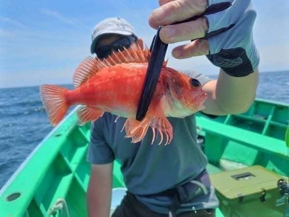 釣果