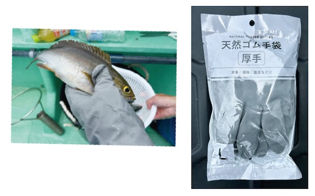 釣行の写真