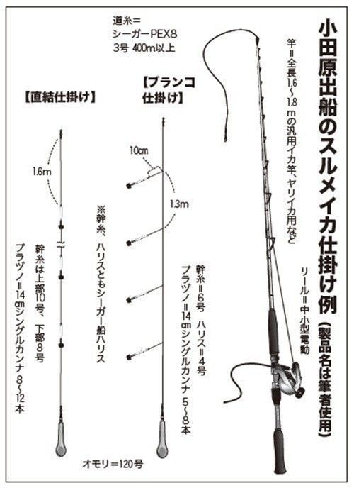 仕掛けの図