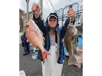 【釣果速報】デカアジ・マダイ・イシナギが短時間でどんどん釣れる！神奈川県愛正丸で記録更新を狙ってみませんか？